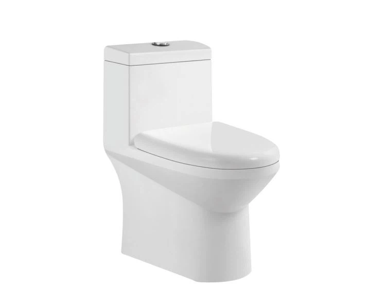 toilet layout